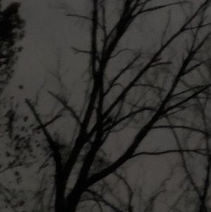 Meet your Posher, Bee